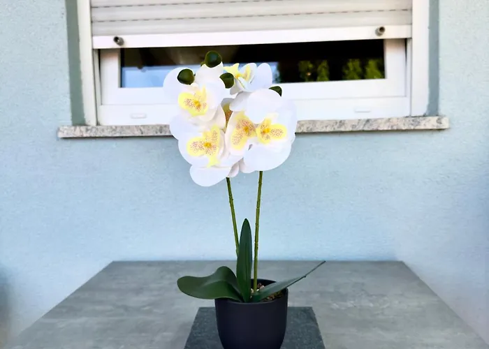 Lejlighed Beautiful 3min From The Kruševo