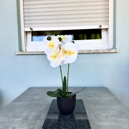 Apartment Isabella - Sweet 150m From The Krusevo (Zadar)